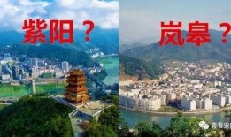 大渝网爆料台最新开县,大渝网爆料台最新爆料揭秘