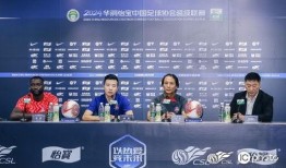 鹏城最新爆料新闻报道,揭秘重大新闻事件背后的真相